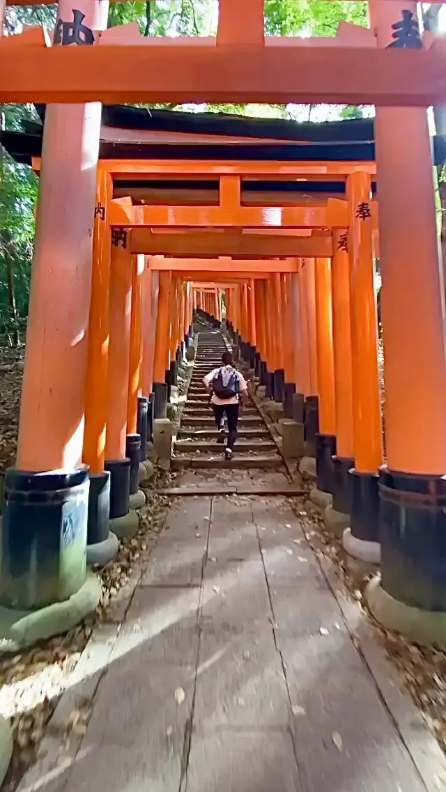 The echo of 10,000 Torii Gates 