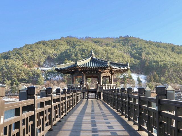 안동여행 가면 낮과 밤 모두 꼭꼭 가야하는 월영교🌉💜