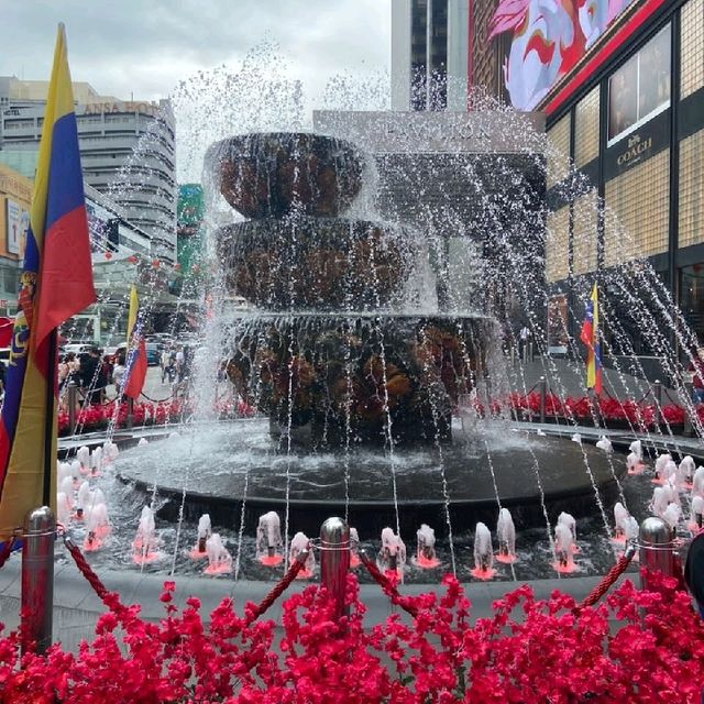 Chinese New Year Decorations 