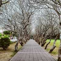 ปู่ม่านย่าม่าน:กระซิบรักบันลือโลก วัดภูมินทร์ น่าน