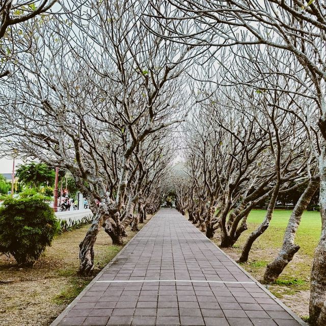 ปู่ม่านย่าม่าน:กระซิบรักบันลือโลก วัดภูมินทร์ น่าน