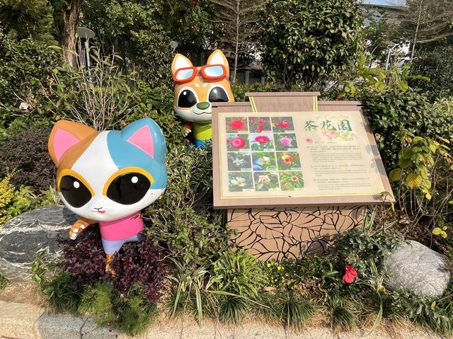 登上瞭望塔可瞭覽公園全景 @ 荃灣公園