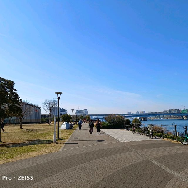 東京旅遊，豐洲公園