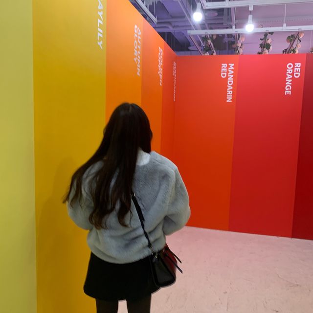 韓国　what your color🎨🖌