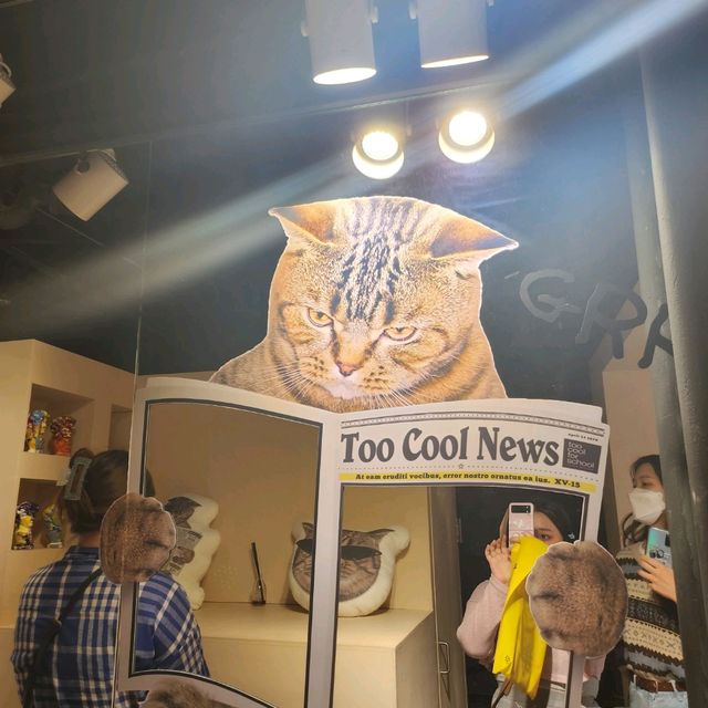5000원 내면 화장품도 주고 아이스크림도 주는 신박짜릿 팝업스토어😆
