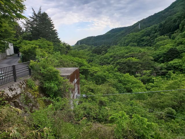 日本栃木縣曰光市 @ 鬼怒川溫泉，鬼怒楯岩大吊橋 