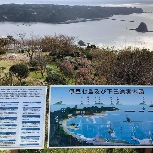 伊豆急行終點站👍🏻鄉村半日遊❤️伊豆半島美景😍😍下田市