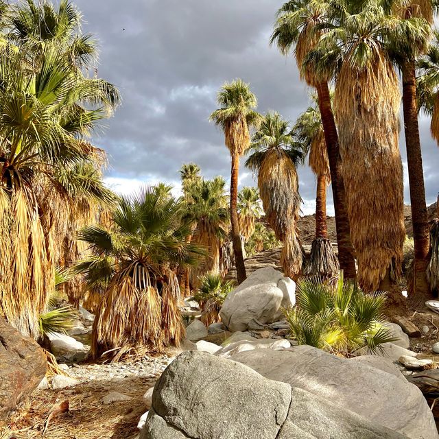 Indian Canyon, Palm Springs อเมริกา