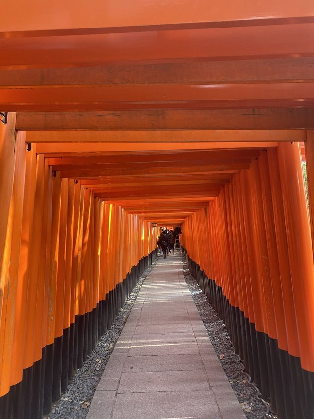 เที่ยวศาลเจ้าฟูชิมิ อินาริ ⛩️Fushimi Inari Taisha