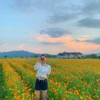 경주 인생샷📸 남기기 좋은곳 추천✨