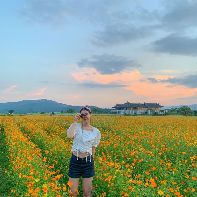 경주 인생샷📸 남기기 좋은곳 추천✨