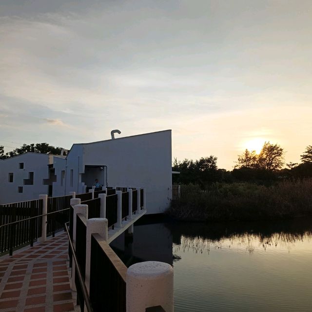 台南超推景點 台江國家公園 怎麼拍都好看