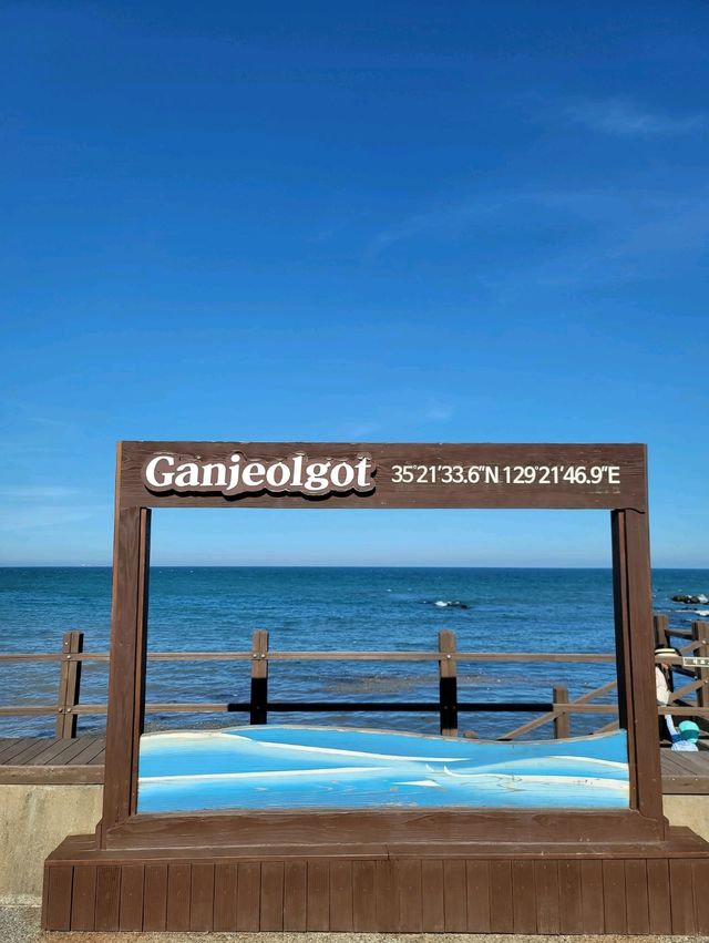 울주군 마스코트 해뜨미가 있는 간절곶 광장✨️