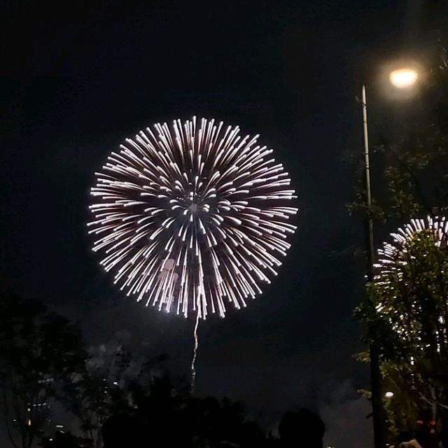 Seoul Fireworks Summer Festival at Hangang Park