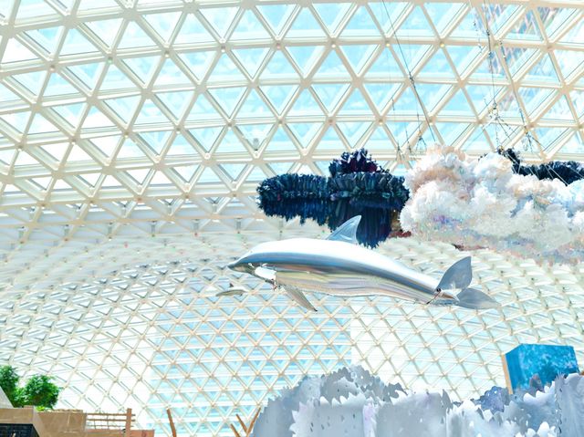 🐬🐬活潑海豚空中海洋暢泳