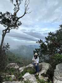 “ฮ่มหมอก บอกฮัก”อุทยานแห่งชาติภูแลนคา🌫️