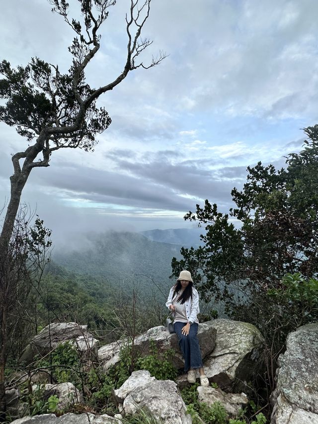 “ฮ่มหมอก บอกฮัก”อุทยานแห่งชาติภูแลนคา🌫️