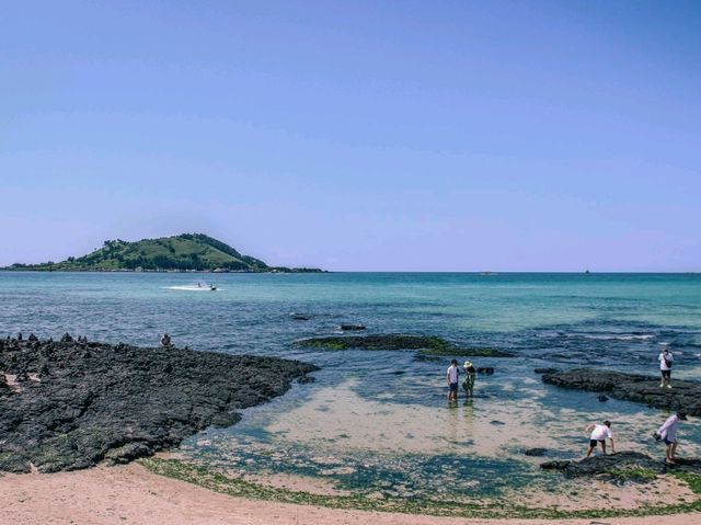 제주의 파란색 물감을 바다에 풀어놓은 협재, 금능 ⛱️ 