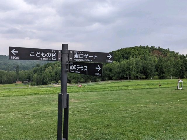 【親子で楽しい大きい公園】北海道　滝野すずらん丘陵公園