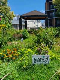 【京都】梅小路公園とすざくゆめ広場