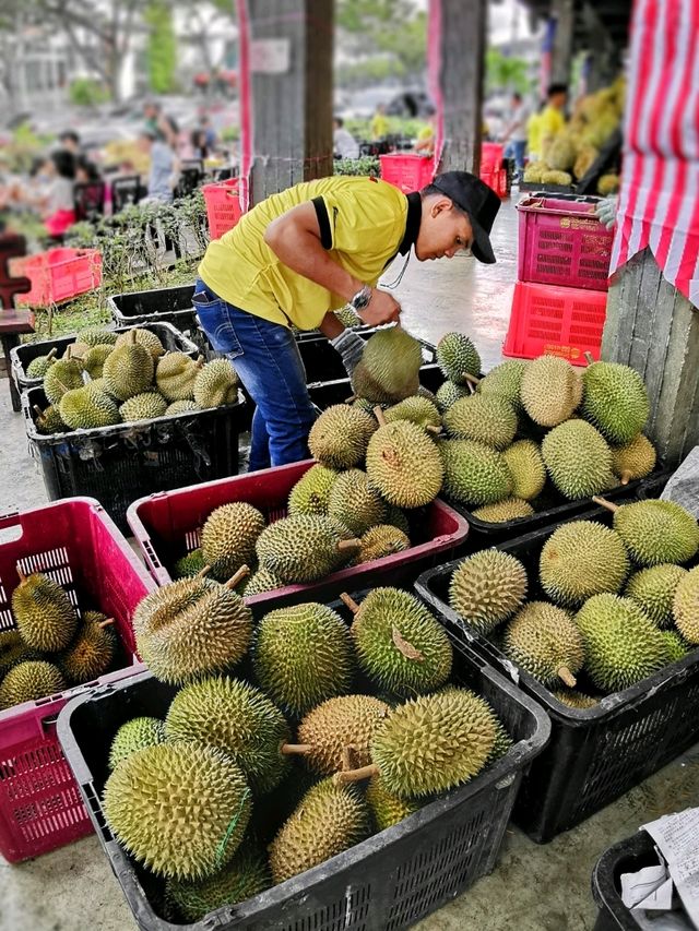 A delightful Durian Fest in SS2! 