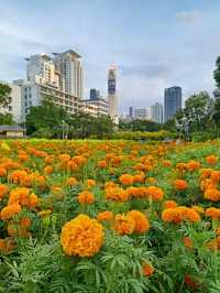สวนสันติภาพ สวนกลางกรุงสำหรับออกกำลังกาย 