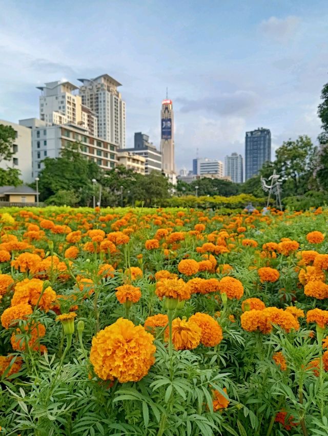 สวนสันติภาพ สวนกลางกรุงสำหรับออกกำลังกาย 
