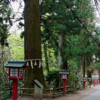 Takao Mountain