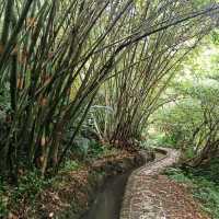 祕境溪流古道 ~ 狗慇勤古道