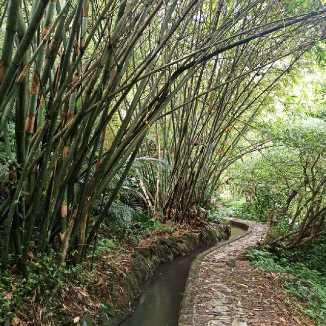 祕境溪流古道 ~ 狗慇勤古道
