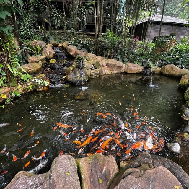 KL Bird Park