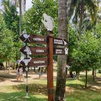 Zoo teruntum
