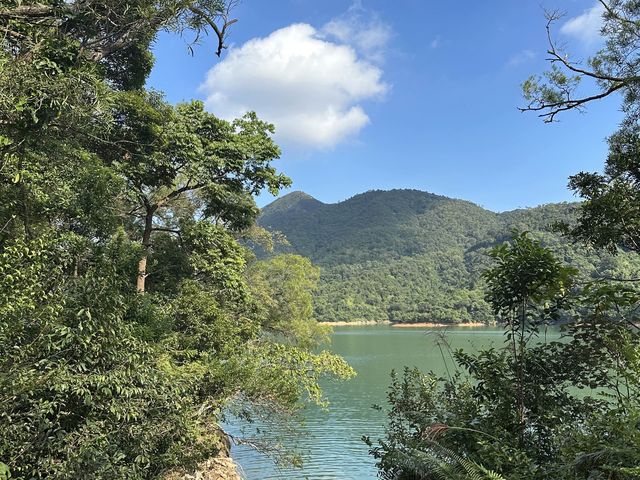 迷人的水塘與白千層，踏上城門水塘之旅