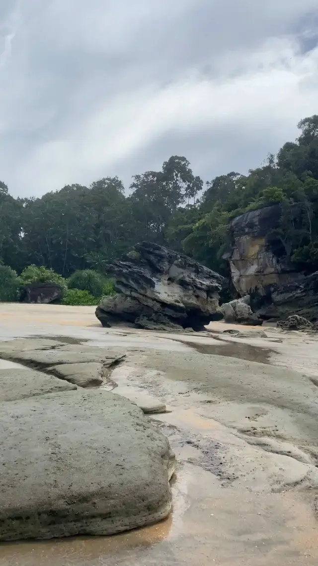 Nature lovers! ♥️🌈🌴