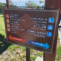 🌄天上山公園🎡絕美富士山🗻