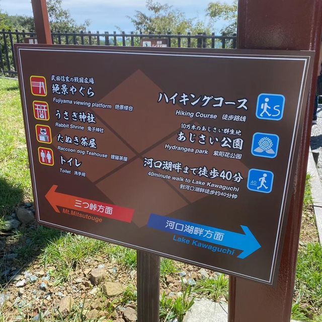 🌄天上山公園🎡絕美富士山🗻