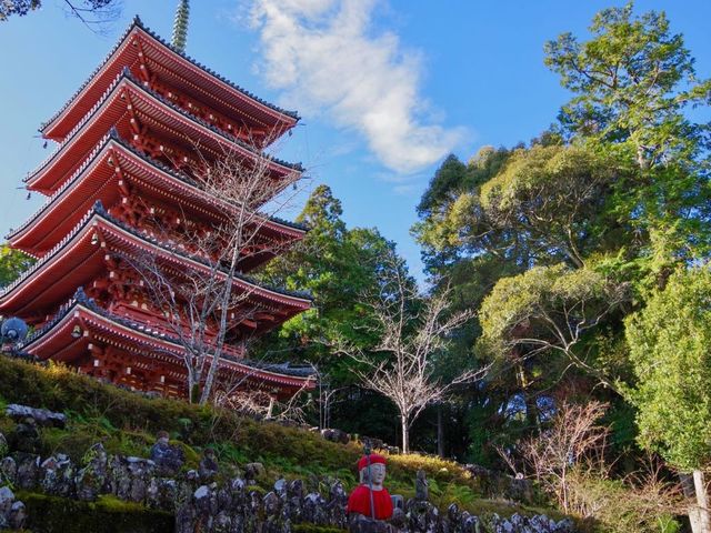 【高知市】四国霊場第31番札所🙏