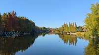 Kunming - Place worth moving to.