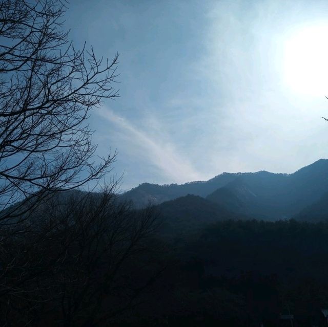 계룡산 동학사 상점가 수통골입구 팬션투어