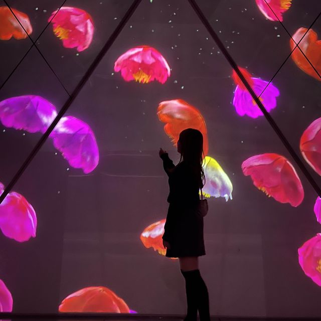빛과 조명의 아름다운 조화✨제주 실내데이트, 아르떼 뮤지엄