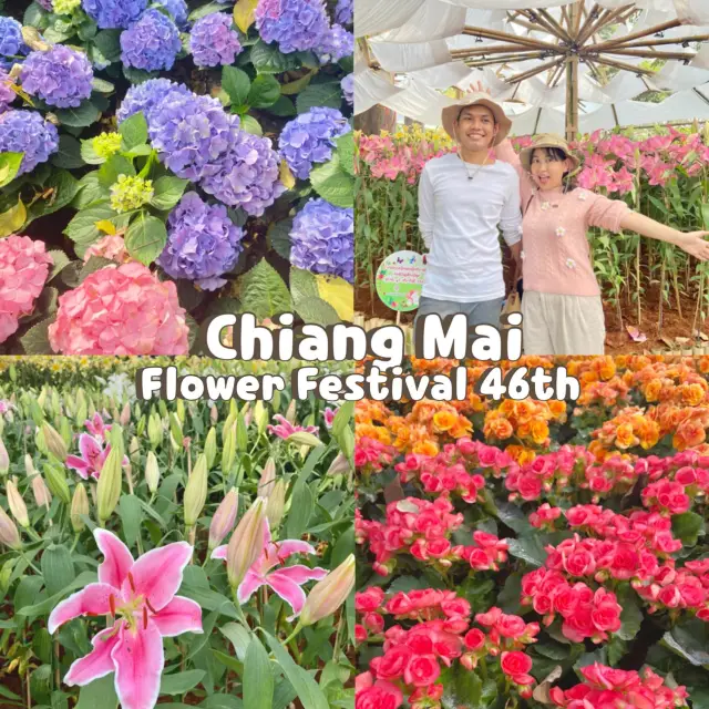 Chiang Mai Flower Festival 46th