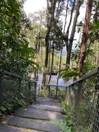 The Habitat Penang Hill 🍃🌲