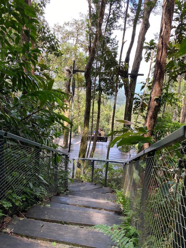 The Habitat Penang Hill 🍃🌲