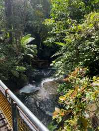 Kawa Kawa sa Awog