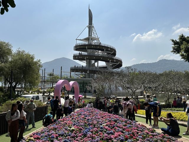 本地遊｜大埔海濱公園｜花種超多賞花必去