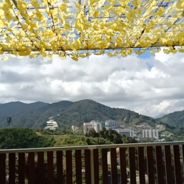 A sip of coffee on top of the hill!