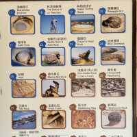 野柳地質公園-台灣擁有極多奇岩美石的地質公園