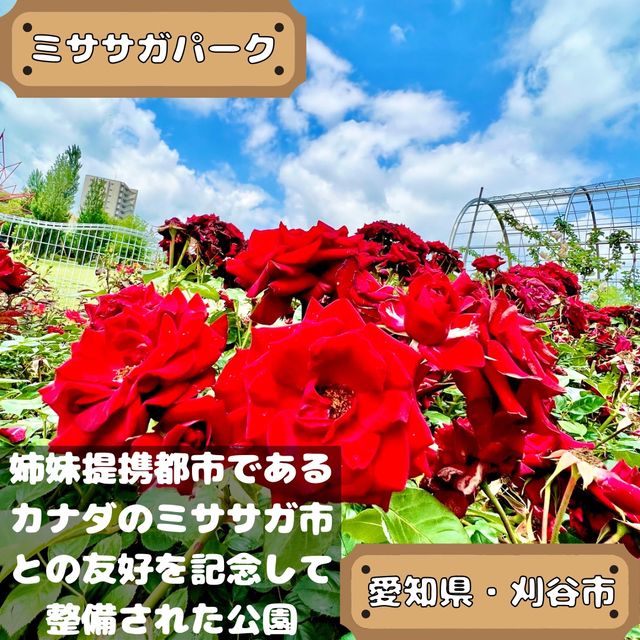 ミササガパーク