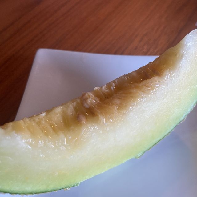 【四国②】〜高知県〜坂本龍馬と美味しいもの食べ歩きの旅