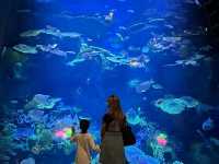 SEA LIFE Bangkok Ocean World